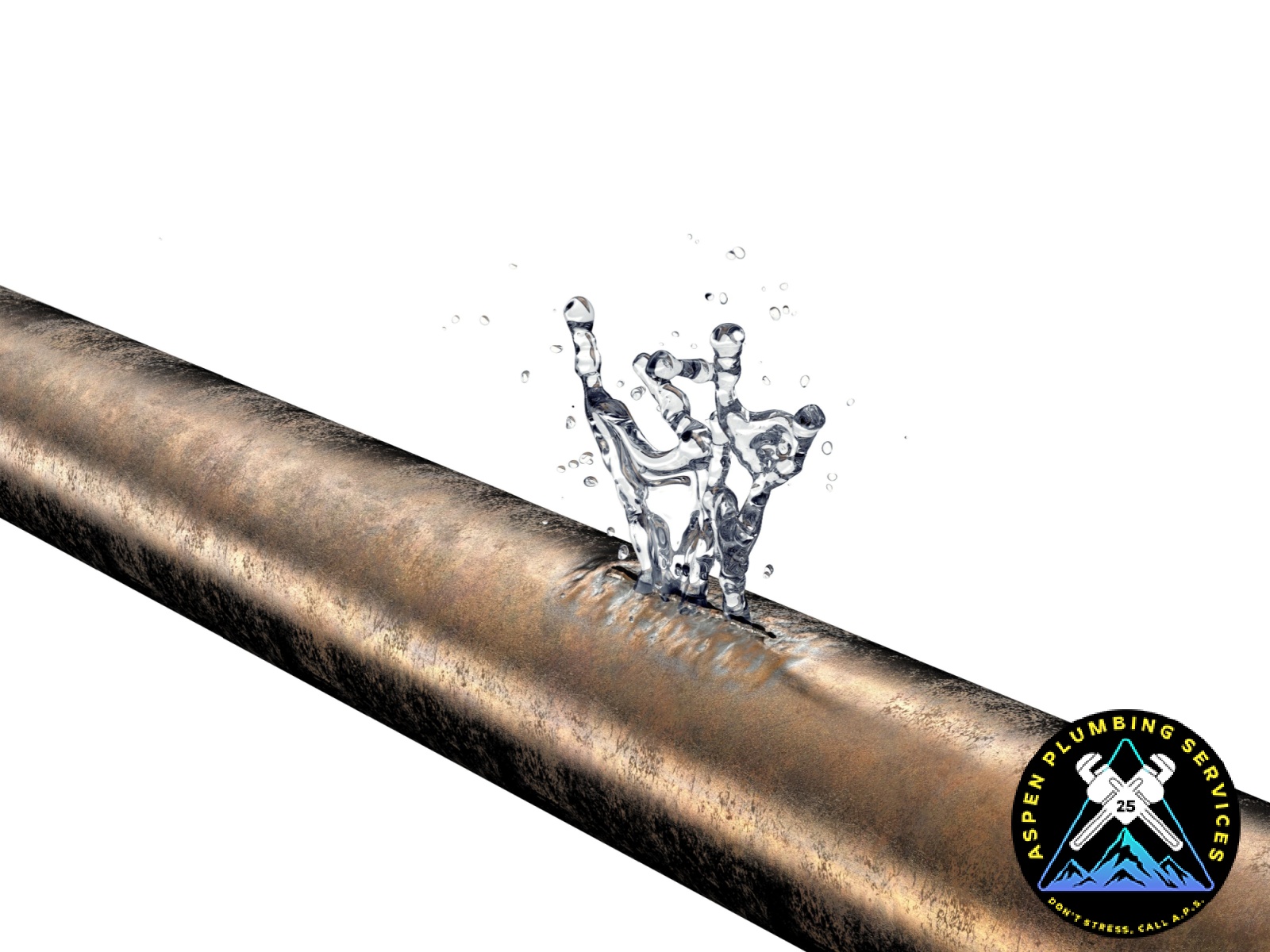 Stop Plumbing Disasters Before They Spread